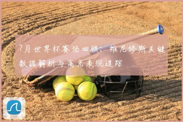 7月世界杯赛场回顾：维尼修斯关键数据解析与高光表现追踪